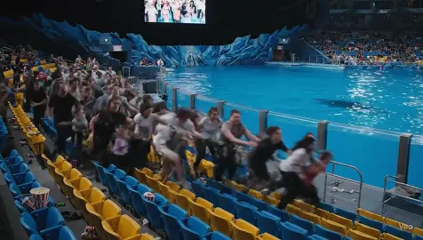 Jessica 😭😭😭 #fyp #jessica #orcas #dolphins #foruyou