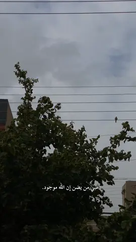 حتى أبسط المشاهد دليل على عضمة الله 🌿
