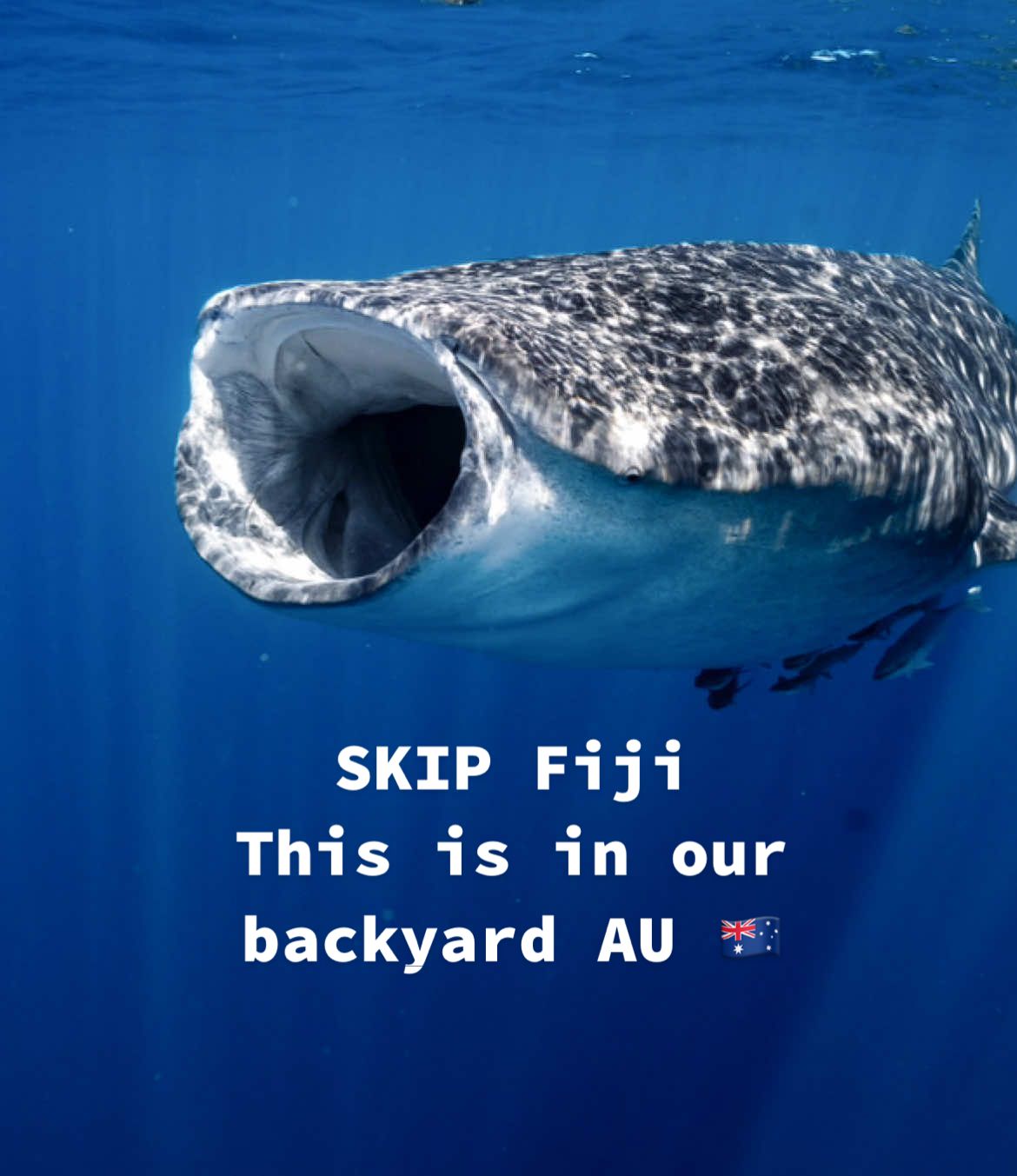 Skip Fiji. Visit here first. #roadtrip #exmouth #ningaloo #coralbay #westernaustralia 