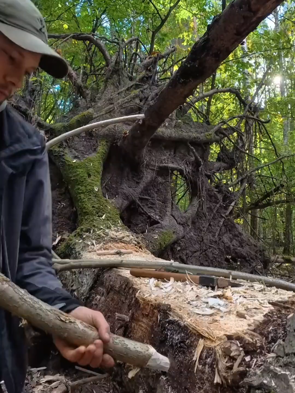 Survival Boy: BUILDING house shelter Camping in the WILD #survival #Outdoors #camping 