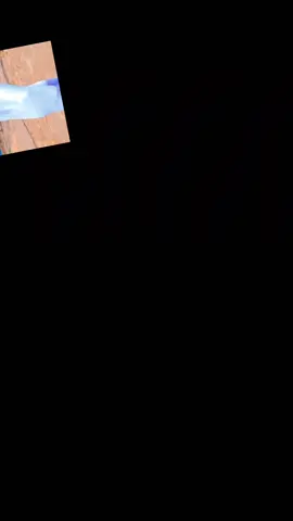 #CapCut 