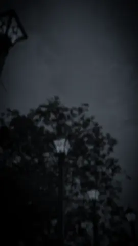 চারদিকে সব আপন মানুষ, তবে' প্রত্যেকে' নিজ স্বার্থে সীমাবদ্ধ.!🖤#foryou #bairal @TikTok Malaysia @TikTok Bangladesh 