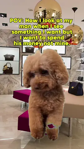 #Meme #MemeCut #CapCut 