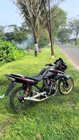 #tigerputaa 