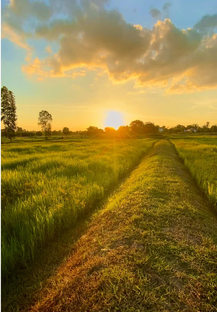 บอกจากใจ.. #รับโปรโมทเพลง #สตอรี่ความรู้สึก #วิวบ้านนอก🍃 #ท้องฟ้า⛅🌈 