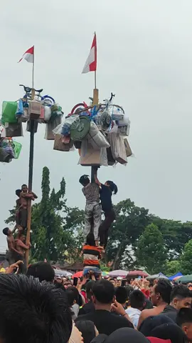 Perjuangan emak-emak panjat pinang ngak mau kalah sama laki-laki  #semuaorang #pengikut #sorotan #emakemak #hutri  semua orang Pengikut Fbpro @sorotan 