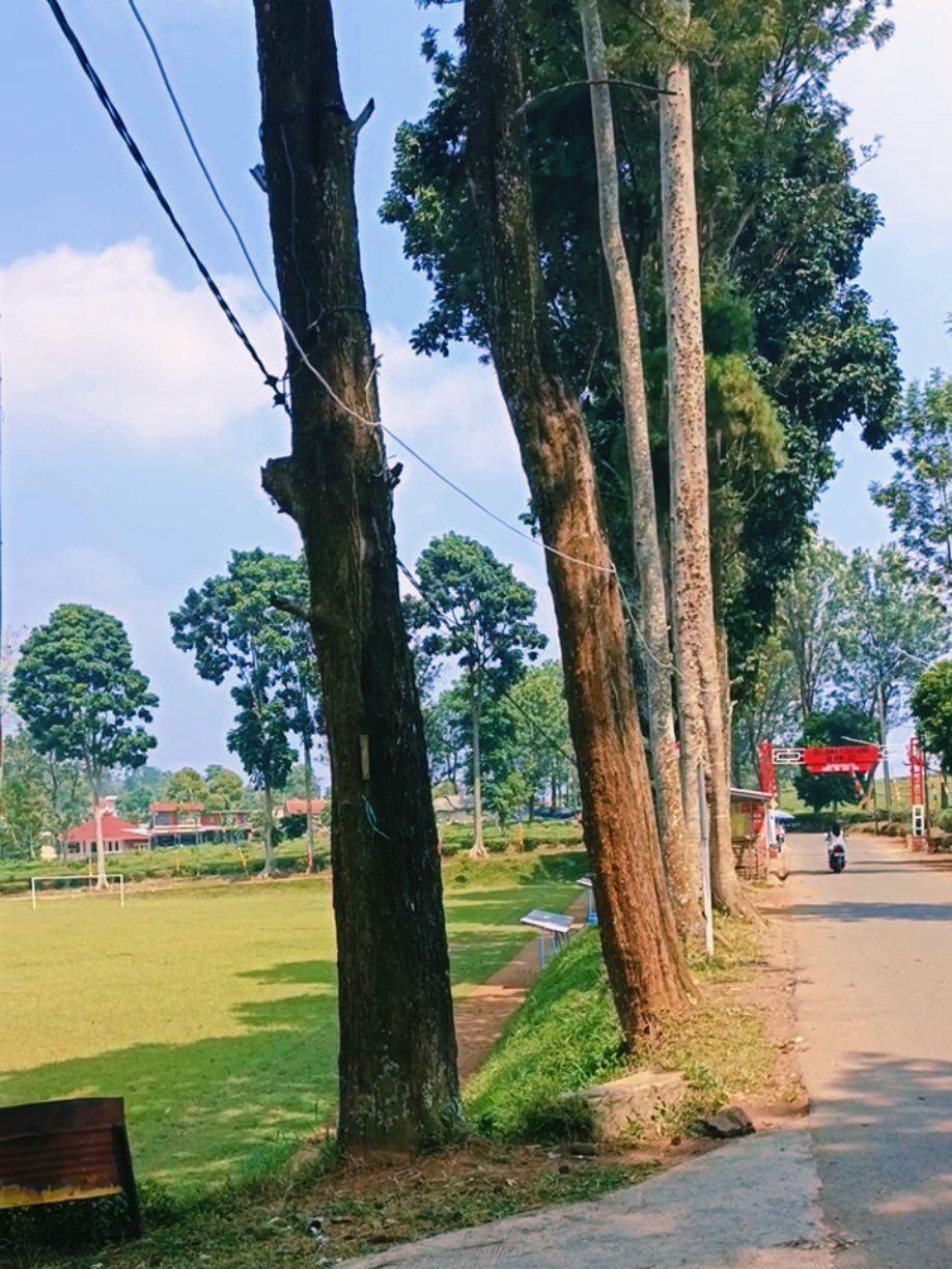 palih dieu heula ngadem😁 #lembang #pemandanganalam #jawabarat #pemandanganaesthetic #fyppppppppppppppppppppppp 