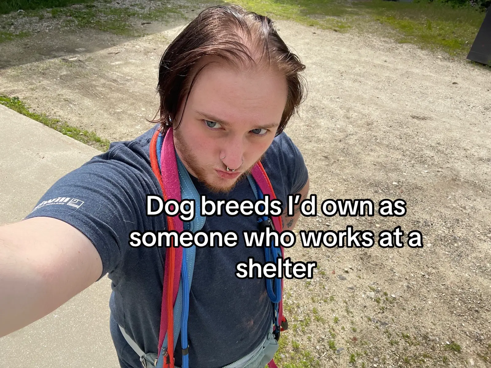 #dogs 