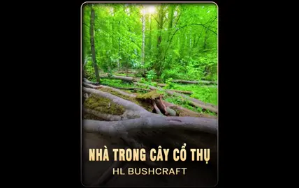 Nhà trong cây cổ thụ #bushcraft #camping #building #survival 