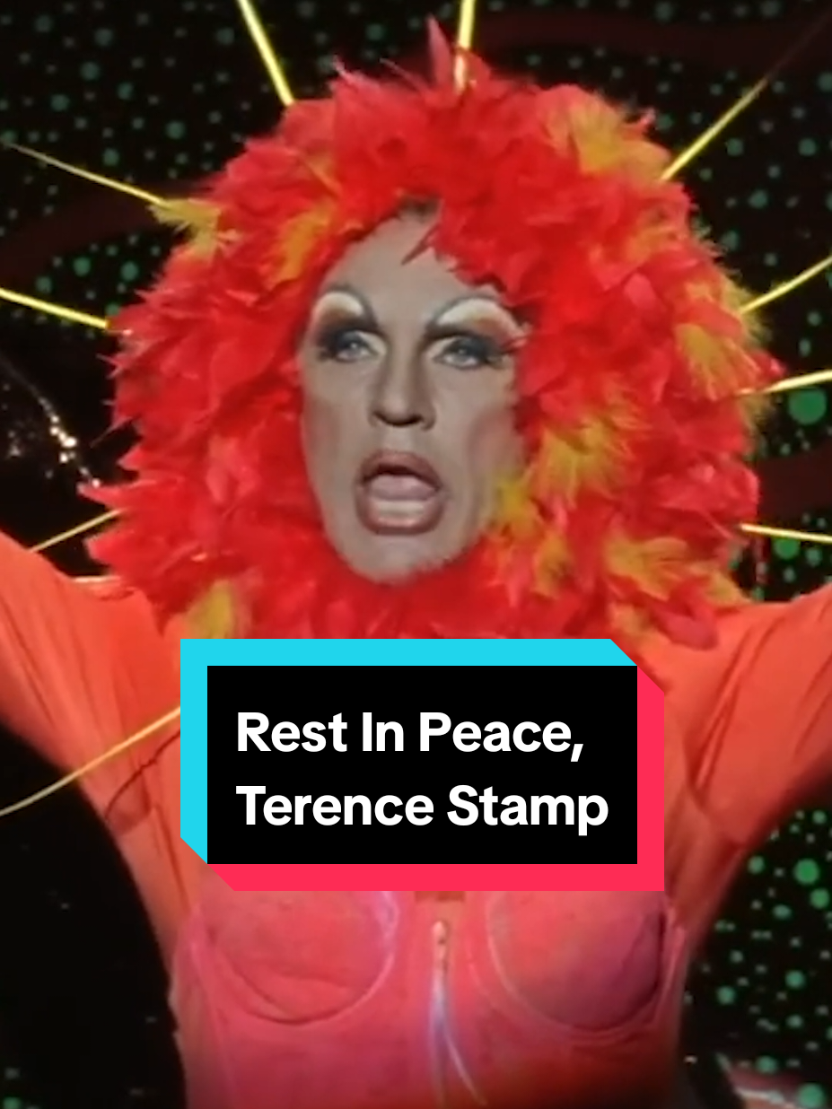 Remembering Terence Stamp, who starred in the Australian classic The Adventures of Priscilla, Queen of the Desert 🧡 #priscilla #drag #dragqueen #restinpeace #cinema 