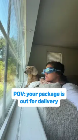 Sure, the Amazon app lets you track your delivery live on a map and sends alerts when it’s just 10 stops away. But do we still stand at the window like we’re on a top‑secret mission? Absolutely. 🐶📦 #amaondelivery #funny #relatable 📹: @meredithkhall