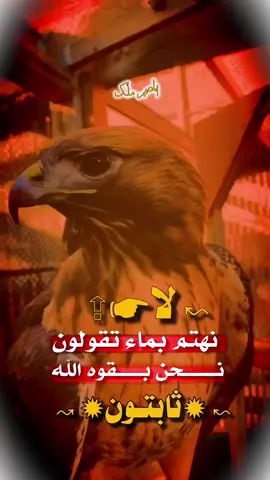 #استوريات #عبارات_جميلة_وقويه😉🖤 #مجرد________ذووووووق🎶 #اكسبلورexplore #fypシ゚viral🖤tiktok☆♡🦋myvideo 