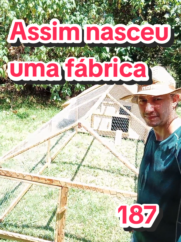 A ideia em criar galinhas nasceu em querer fazer algo diferente, foi ai que tive a ideia de fazer galinheiro móvel, por ser prático e fácil de organizar. . . . . #criatorio #granja #galinha #aves #frango 