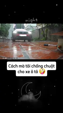 Chống chuột ô tô #chongchuototo #oto #giaitri #theanh28 #xuhuongtiktok 