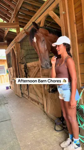 missed my boys  #fyp #horse #horsetok #fypシ゚viral #fyppppppppppppppppppppppp 