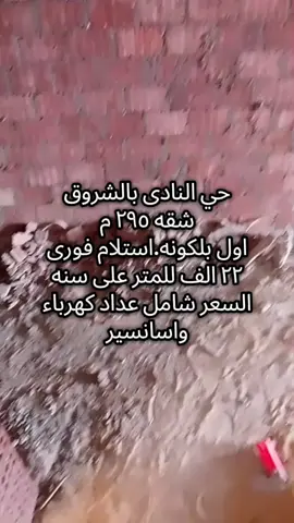 حي النادى بالشروق شقه ٢٩٥ م اول بلكونه.استلام فورى ٢٢ الف للمتر على سنه السعر شامل عداد كهرباء واسانسير#عقارات_الشروق #الشروق #عقارات 