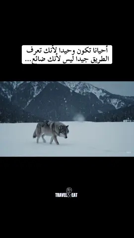 أحيانا نكون وحيدا لأنك تعرف الطريق جيدا ليس لأنك ضائع…