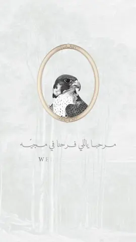 بشارة مولود بإسم صقر 🦅 | للطلب تواصل خاص بـ 25 ﷼  #دعوة #fyp #بشارة_مولود #بشارة #دعوات_الكترونيه 