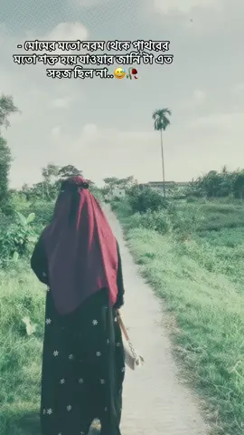 মোমের মতো নরম থেকে পাথরের মতো শক্ত হয়ে যাওয়ার জার্নি টা এত সহজ ছিল না🥀🥲#foryou #foryoupage #unfrezzmyaccount🙏 #viralvideo #copylink 