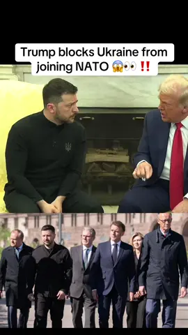 Trump rules out NATO for Ukraine 😱👀Today, Trump met Zelenskyy at the White House with European leaders. He ruled out Ukraine joining NATO and suggested peace could come if Ukraine drops claims to Crimea. Zelenskyy stood firm on sovereignty and security guarantees, while Europe backed Kyiv. #america #news #fyp #global #donaldtrump 