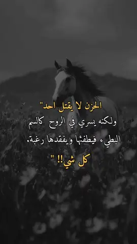 الحزن لا يقتل احد. #اعادة_النشر🔃 #اكسلبورررررر #خواطر_للعقول_الراقية 
