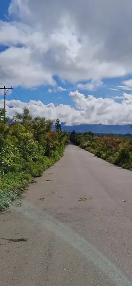 Papua pegunungan Jayawijaya hubikosy moai