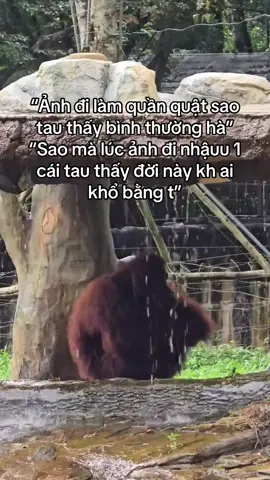 Dị kh đó chời #GreenCreator #VinWonders #WonderSummer2025 #dulich
