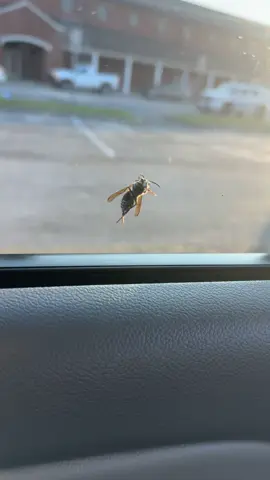 What’s this little fella doing? 