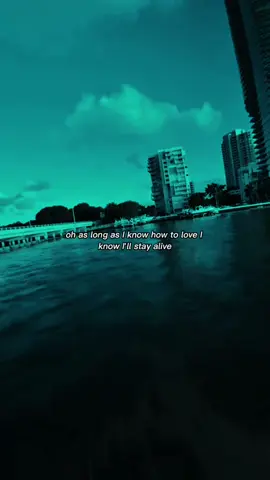 Part 152 #fyp #music #vairalvideo #vairal #trendingvideoviral 