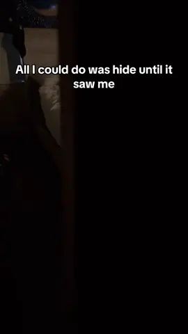 #fyf #scarytiktoks #horrortok #scary #creepy 