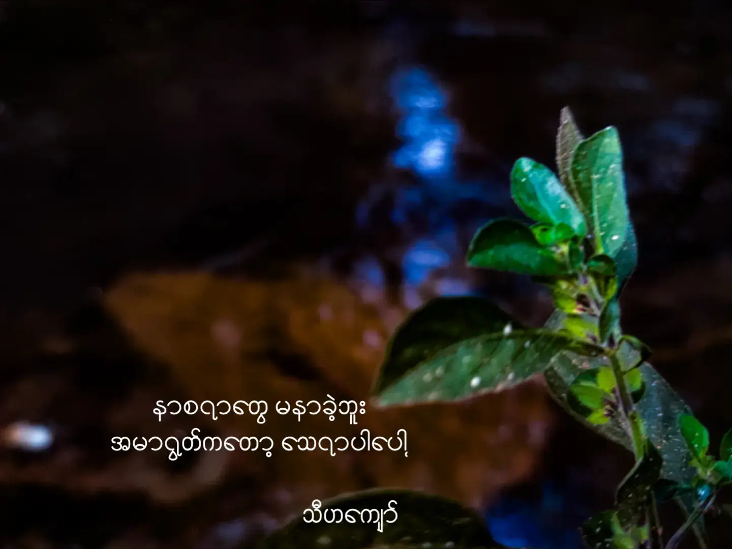 #သီဟကျော်✍️  #fyp #foryoupage #tiktok #foryou 