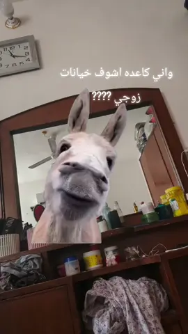 #Meme #MemeCut #CapCut 