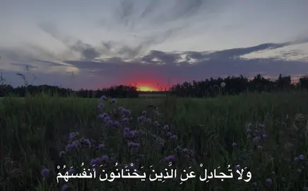 #الحصري #quran #محمود_خليل_الحصرى #quran_alkarim 