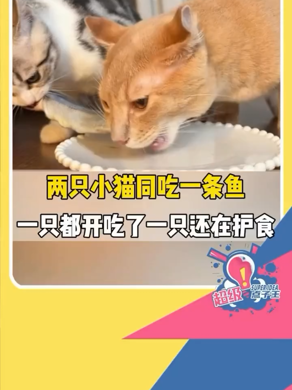 主页置顶的视频，请斟酌观看， 一旦着迷，后果概不负责🤭🤭🤭