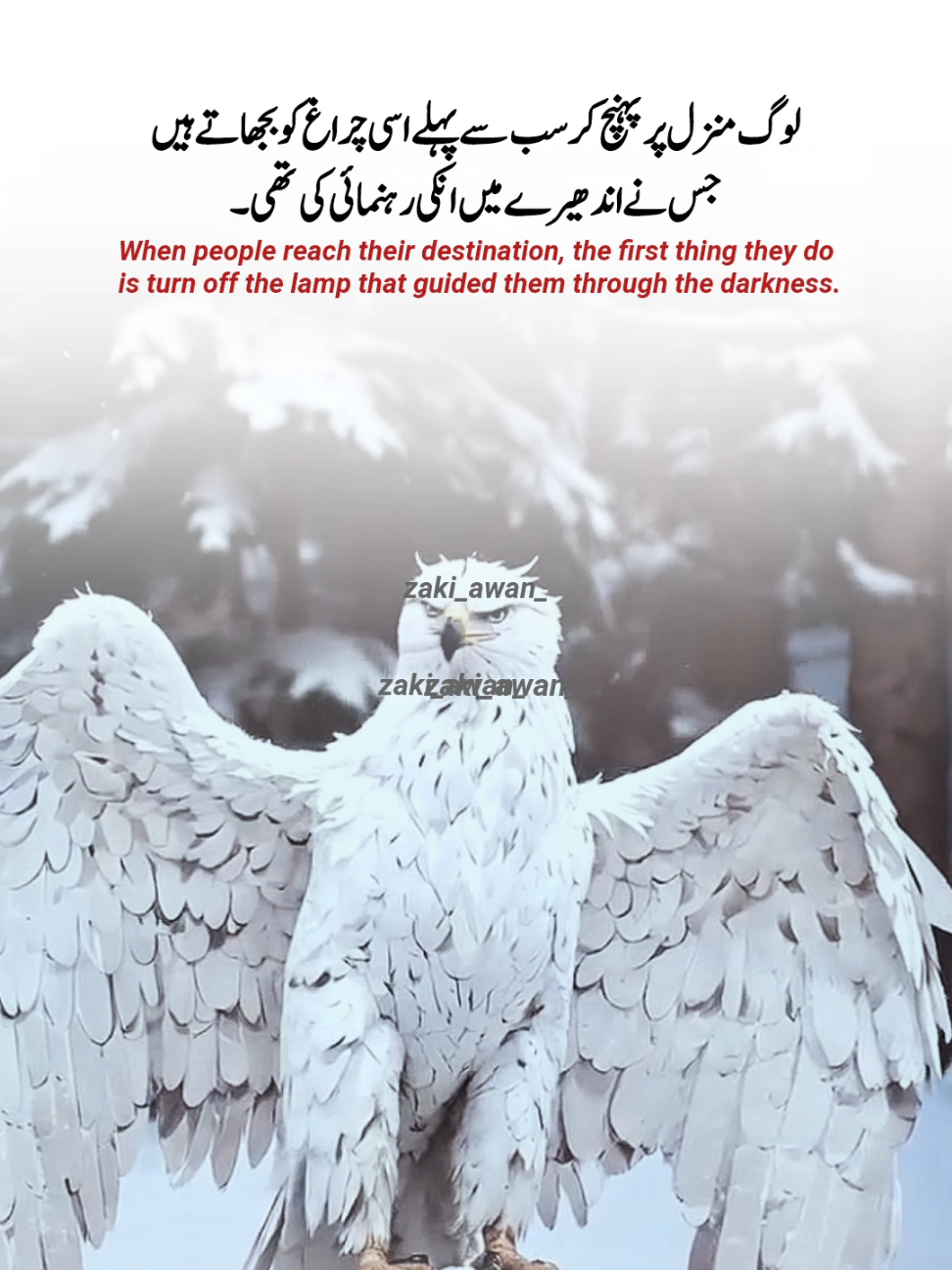 #creatorsearchinsights #destination #shayri #🇵🇰🇵🇰🇵🇰 #zaki_awan_ 