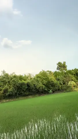 আজ আকাশে রংধনু উঠছে কে কে দেখছো.......! 🙂❤️‍🩹