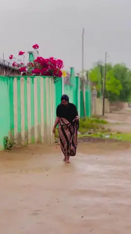 ma jawigan oo kale🥰#gabiley🌾🌾🌾🌾🌾 #somalilandtiktok💚🤍❤ 