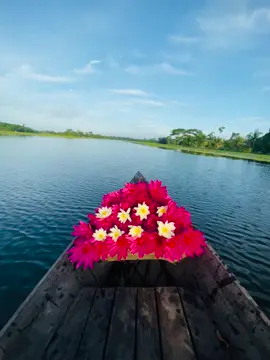 ###