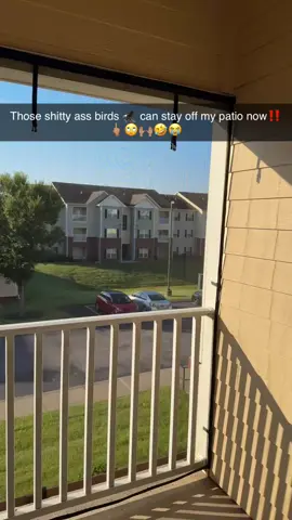Good morning‼️🙌🏽🤣😭