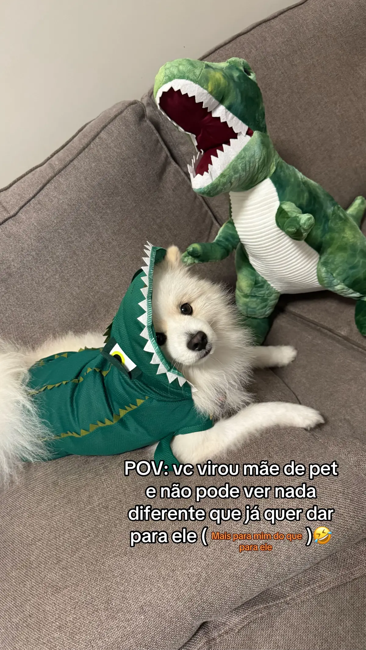 Meu 🦖  #dog #dogsoftiktok #dogcute #fyp 