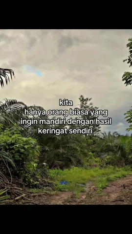 🥺#petanisawit #petanimilenial #petanimuda #petaniindonesia🇮🇩🇮🇩🇮🇩🌿🌿 