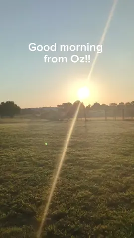 Good morning from Oz! ☀️🐾 The pups are waking up, stretching out their paws, and ready to fill the day with tail wags, zoomies, and snuggles. Every morning here starts with hope, love, and the promise of second chances 💛 Here’s to a beautiful day ahead from all of us at Oz! 🌼🐶 #GoodMorningFromOz #LoveLivesHere Let’s be the change. Let’s show the world what love can build. https://www.zeffy.com/en-US/donation-form/lighthousevillage DONATE HERE: alwaysandfurever.org/donate Venmo (charity only): @AlwaysAndFurever PayPal: alwaysandfurever@yahoo.com Zelle: Zelle@alwaysandfurever.org Mail: Always & Furever, 23595 W 223rd St, Spring Hill, KS 66083