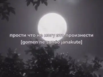 #moonlightdensetsu | если и это не залетит я вас всех найду  #sailormoon #opening #текстпесни #fyp 