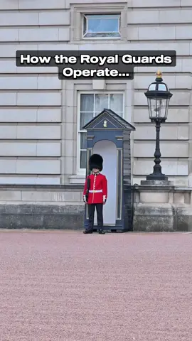 How The Royal Guards Operate #dating #xyzabc 
