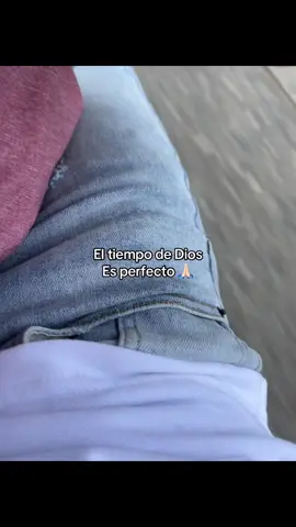 Perfecto 🙏🏻