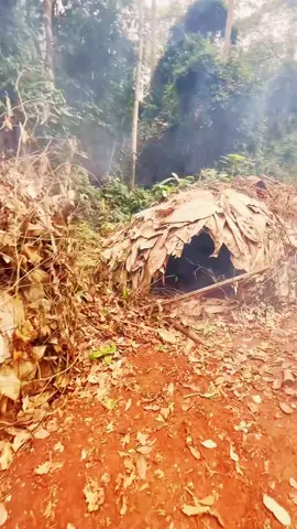 Unique houses of African tribes#tiktok #viral #fyp #trivia #foryou #shorts #unitedstates #usa #foryoupage 
