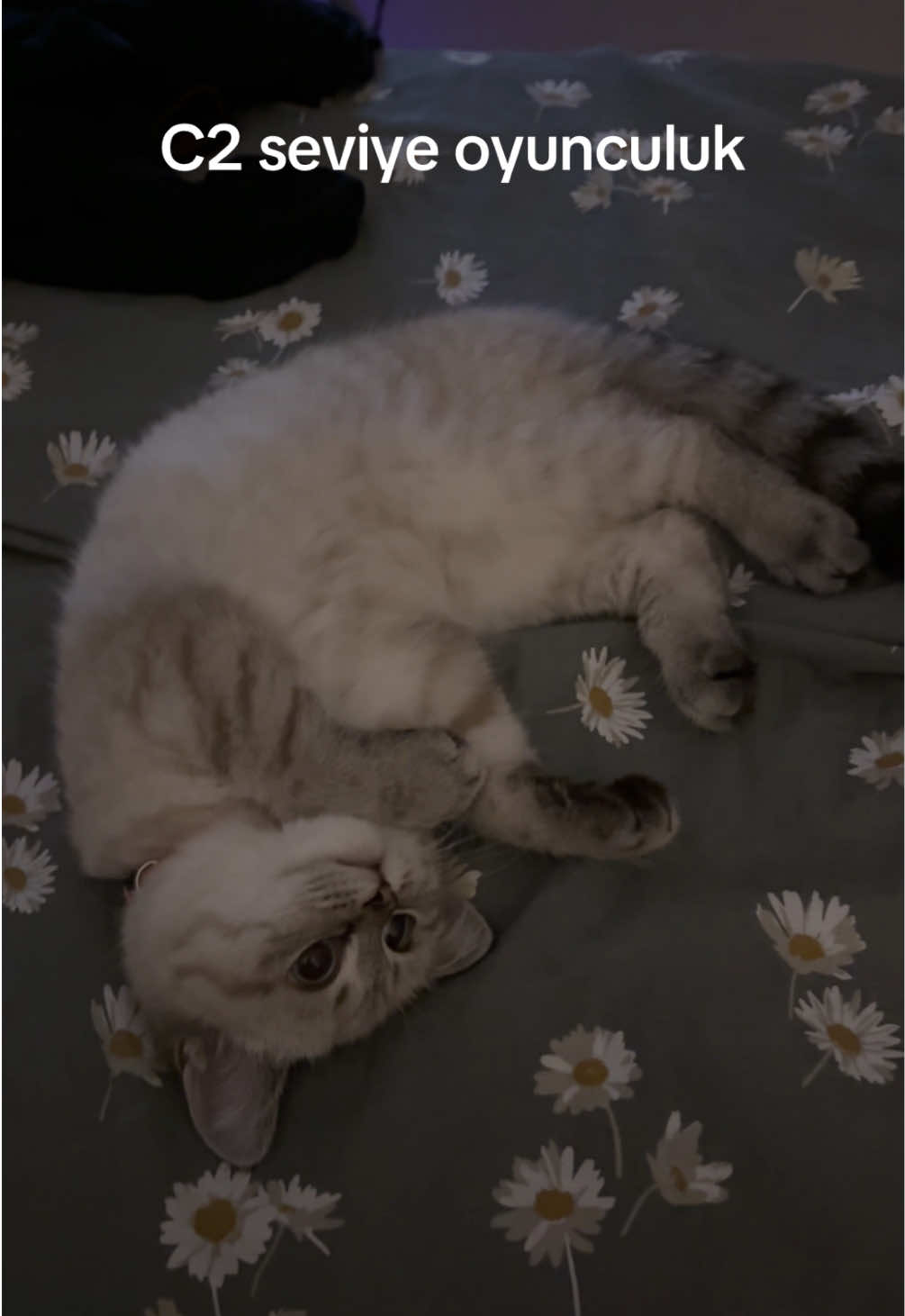 Hiç hareket etmiyor ama o yan bakışları 🤭🤭🤭 Sonuna doğru korktum ne oldu kızıma dedim 🤣