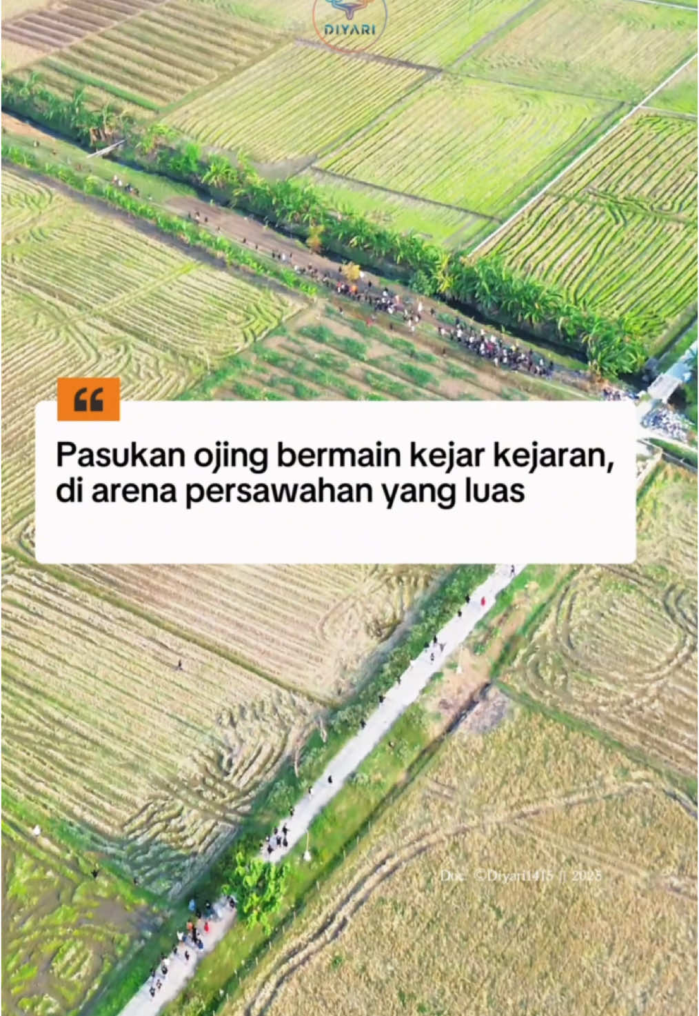 Yang di tengah sawah cepet sekali larinya 🫣😭 #ojing #orkes #dangdut #tawuran #pati #jepara 