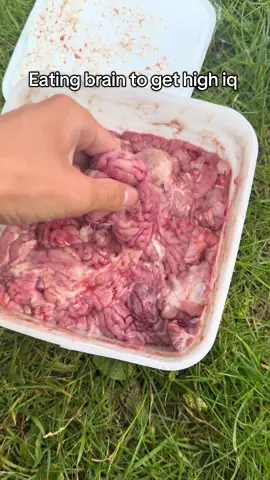 Eat brain get brain #fyp #brain #raw #rawmeat
