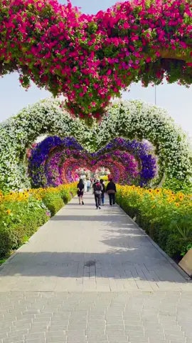 Dubai Miracle Garden 🇦🇪 #garden #miracle #fyp #foryou #foryoupage 